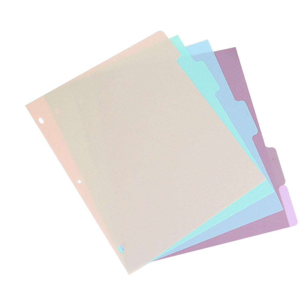 1Set Binder Dividers A4 Froste - огляд і ціна Tab Divider A4