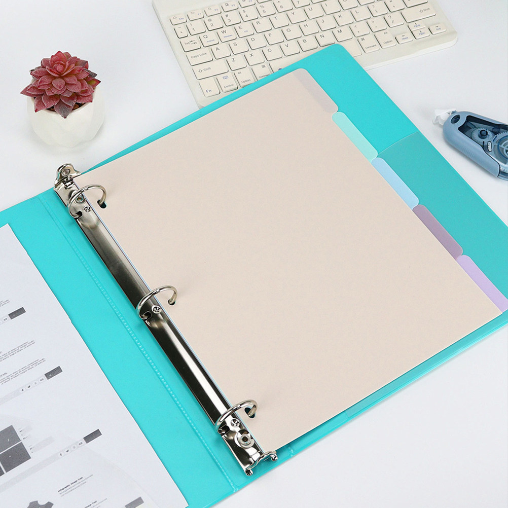 1Set Binder Dividers A4 Froste - огляд і ціна Tab Divider A4