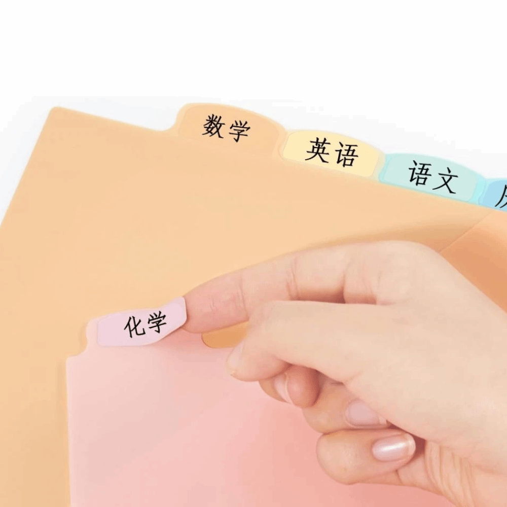 8 pcs Durable A4 Pastel Binder - огляд і ціна Tab Divider A4